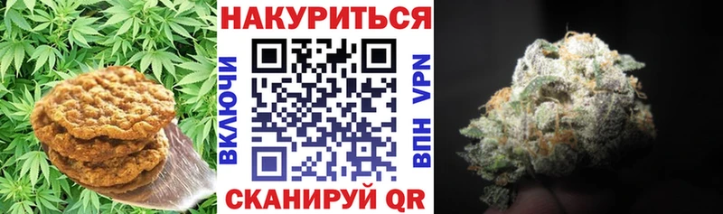 гидра зеркало  Волгореченск  Cannafood марихуана 