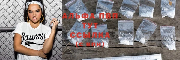 ECSTASY Богородск